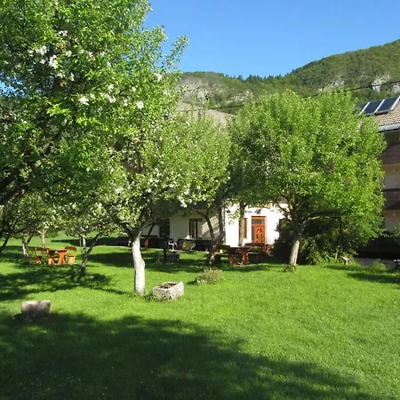 Arh * Bohinj