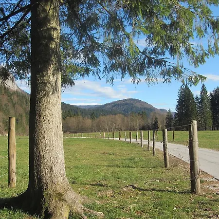 Lägenhet Arh Bohinj