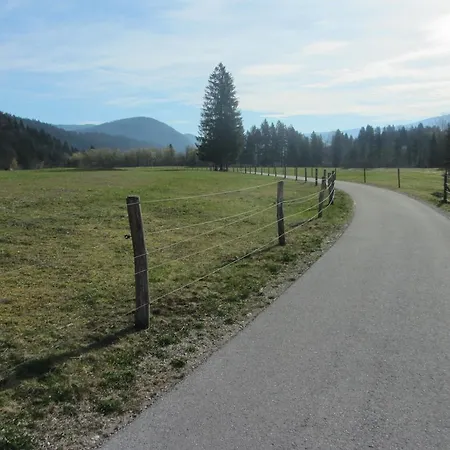 Arh Bohinj