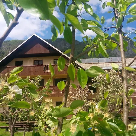 Arh Apartment Bohinj