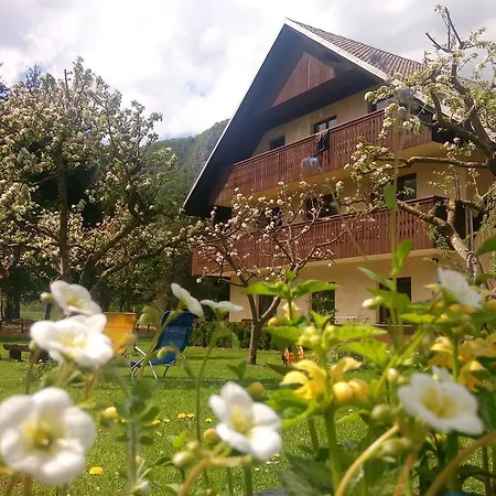 Arh Bohinj