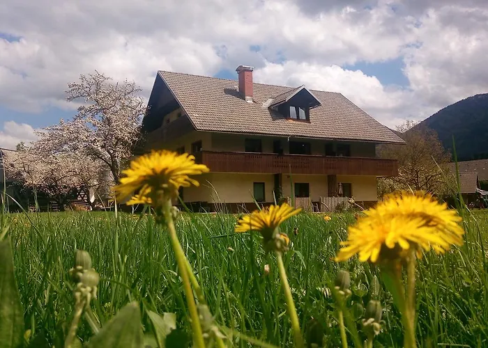 Lägenhet Arh Bohinj